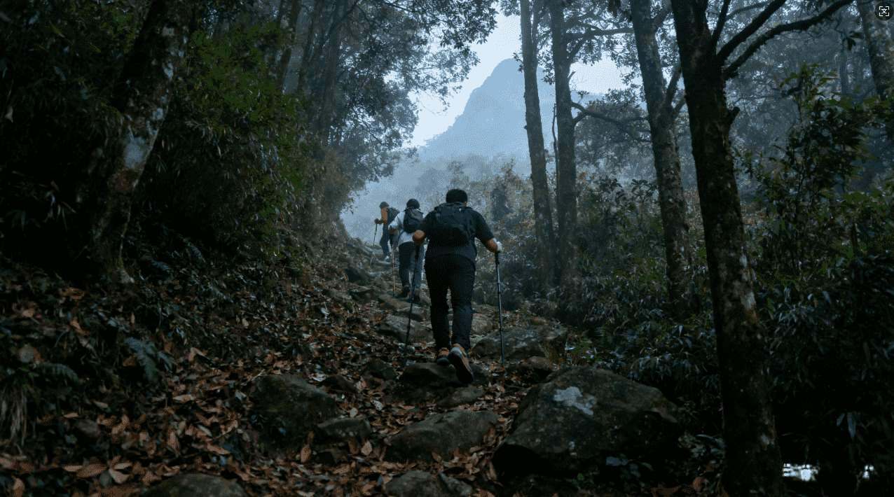 如何高效使用加速器 789改善游戏下载体验